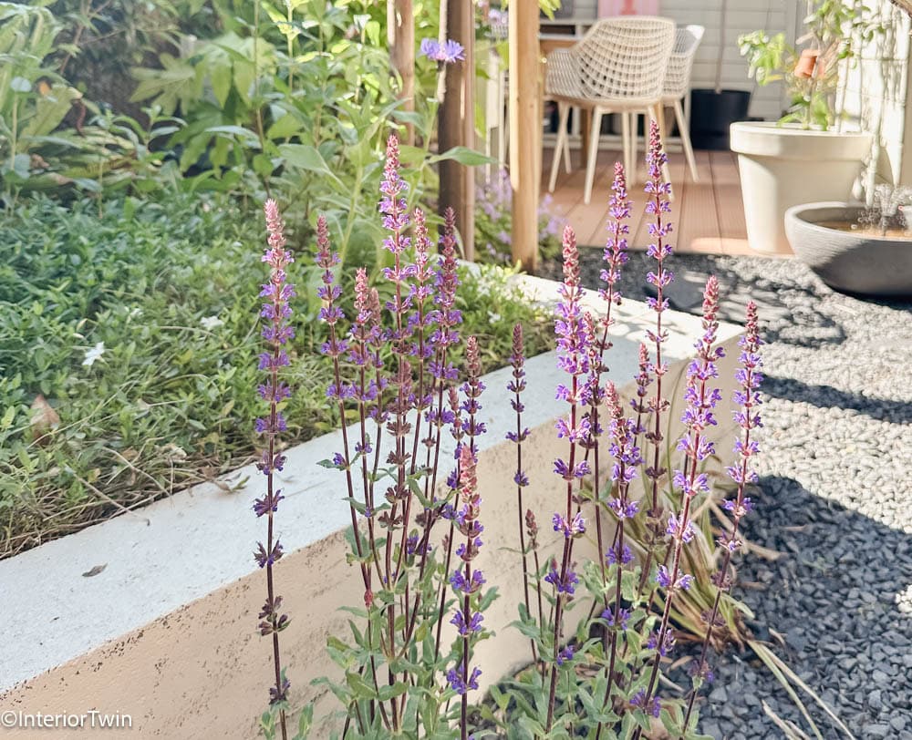 gereedschappen kleine tuin